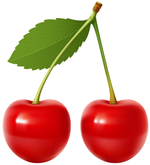 fresh cherries